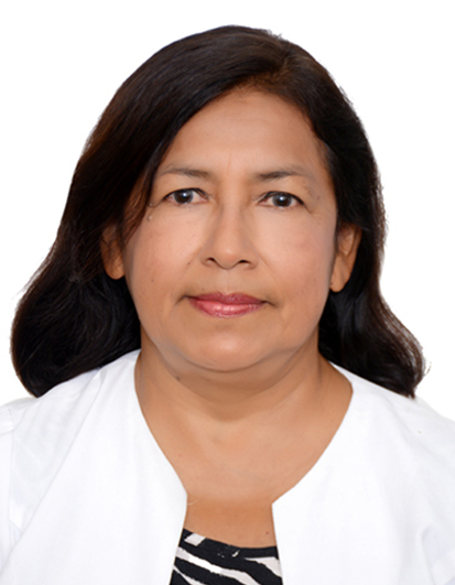 Director del Proyecto